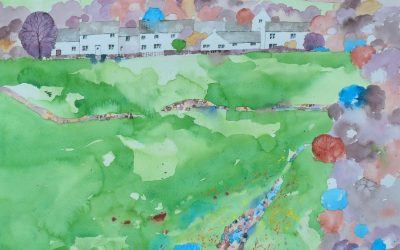 West Witton Hay Meadows, Yorkshire Dales