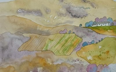 Dartmoor farm